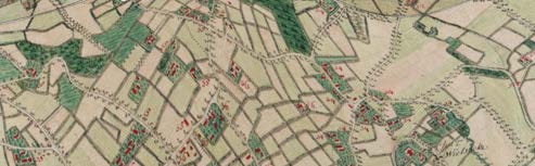 Image 1381
