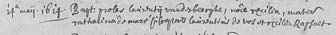 Image 1798