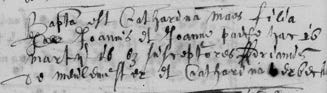 Image 1821