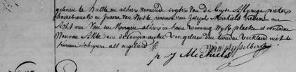 Image 1853