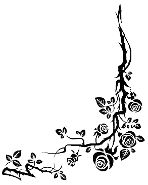 Image 29