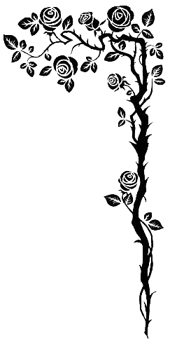 Image 30