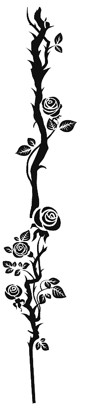 Image 31
