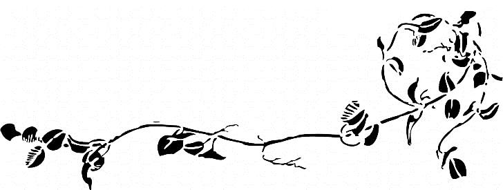 Image 33