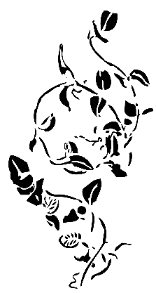 Image 34