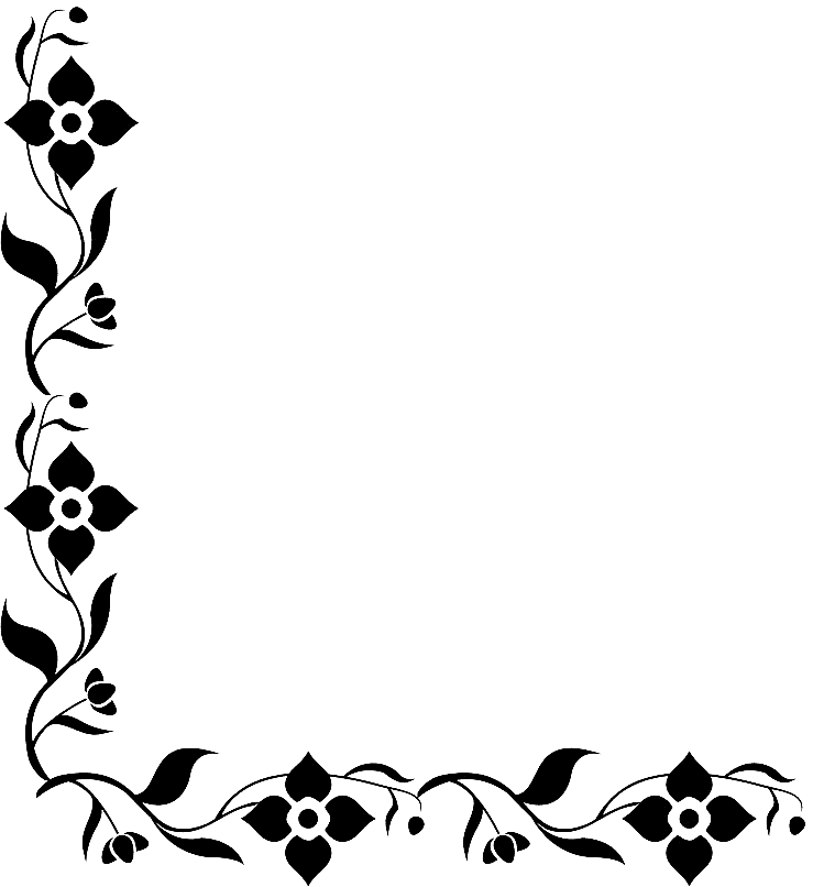 Image 35