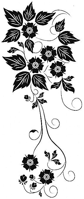 Image 41