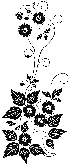 Image 42