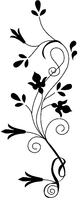 Image 45