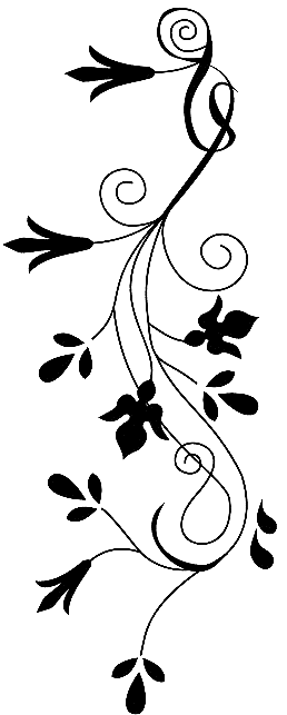 Image 46