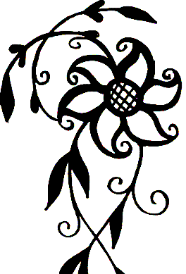 Image 47