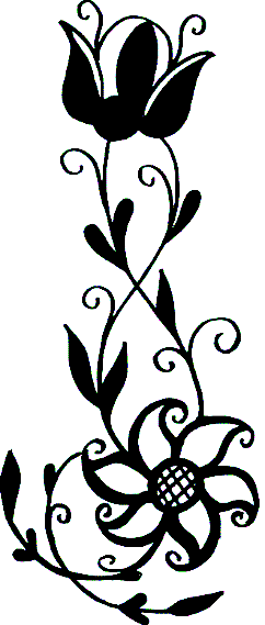 Image 48