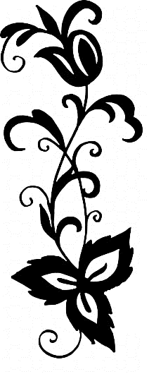 Image 52