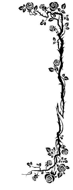 Image 56