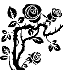 Image 57
