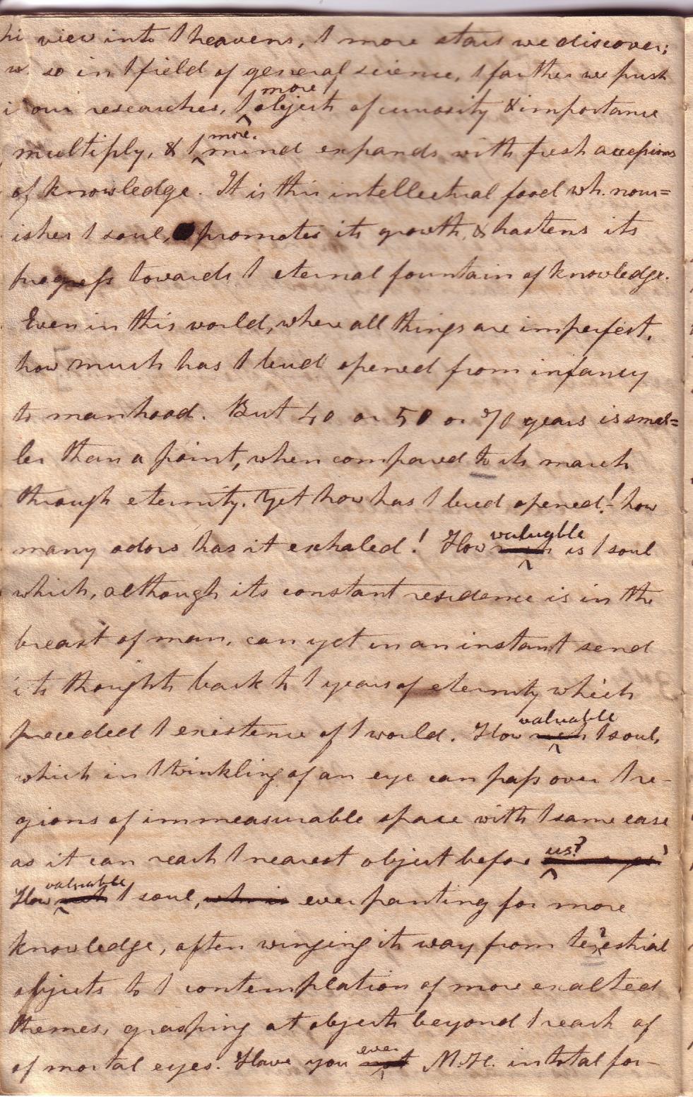 Image 13