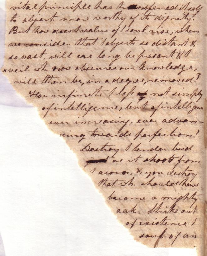 Image 15