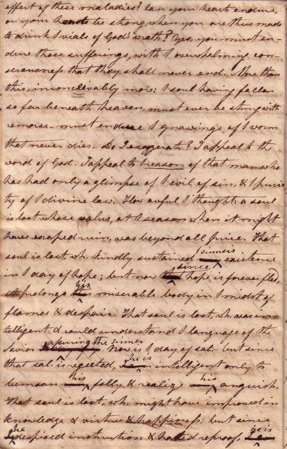 Image 19