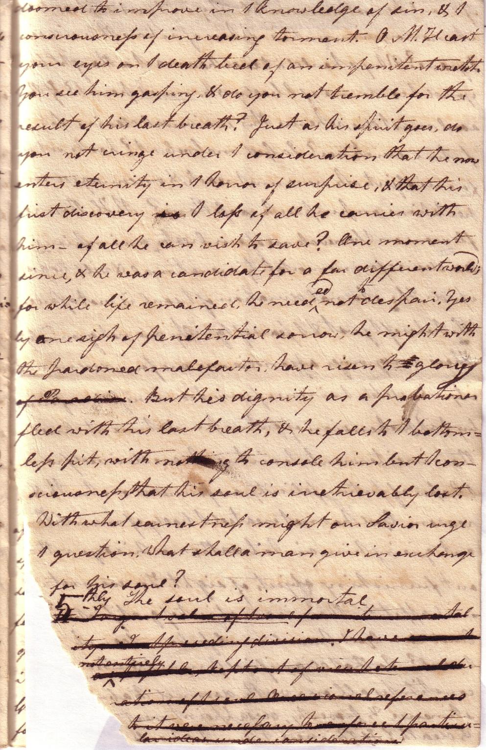 Image 20