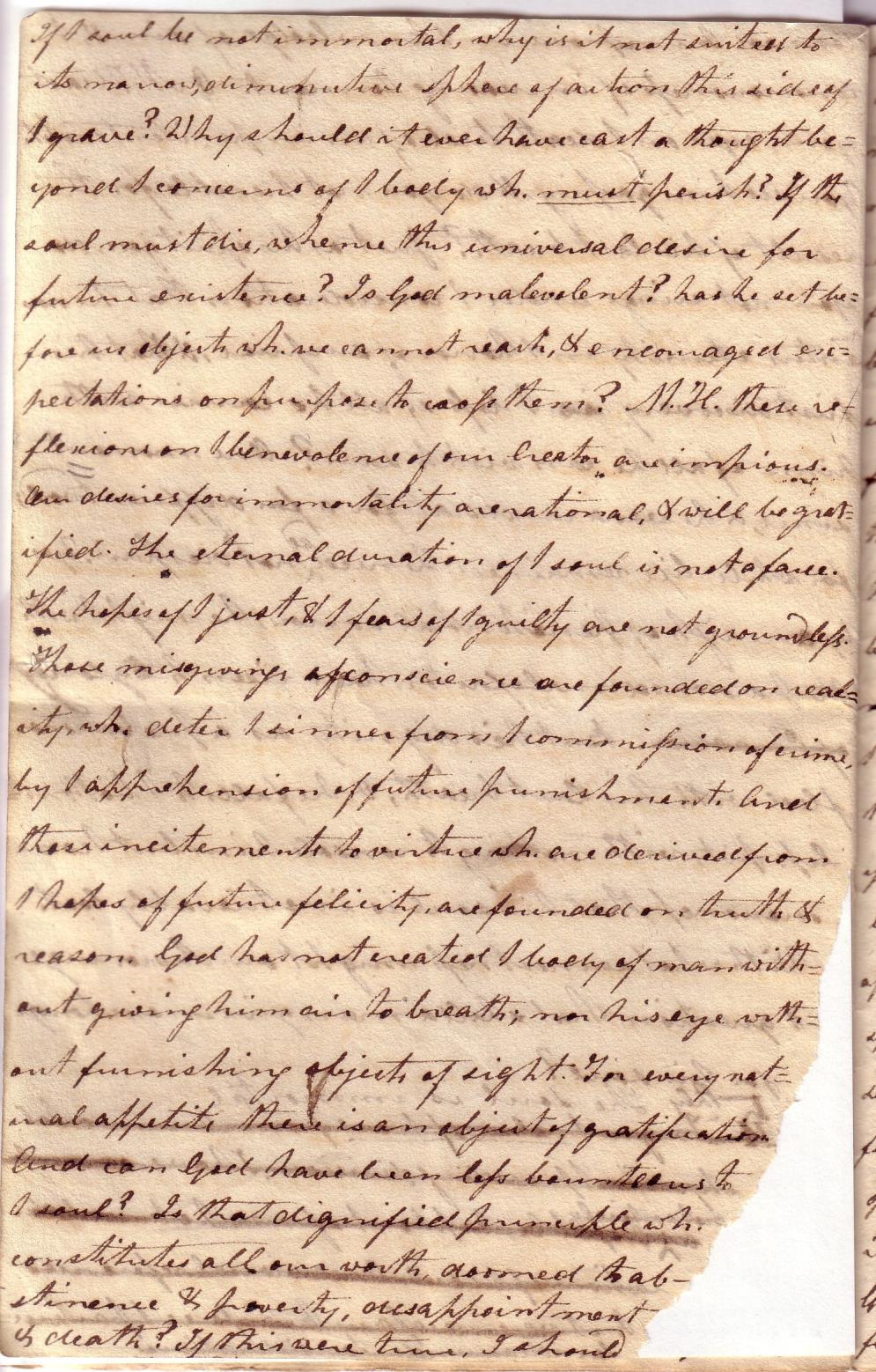 Image 21