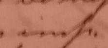 Image 41