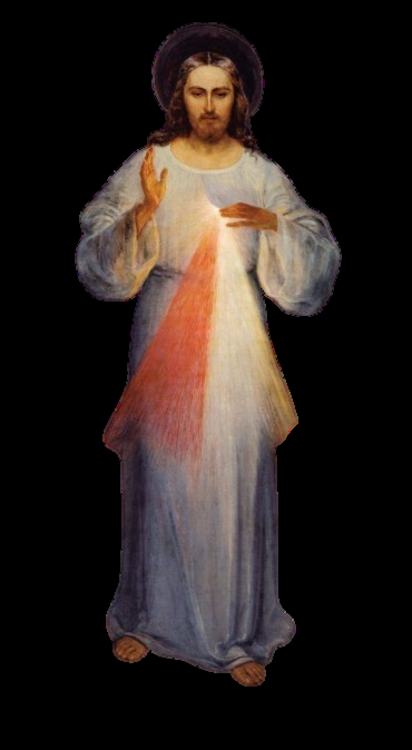 Image 39