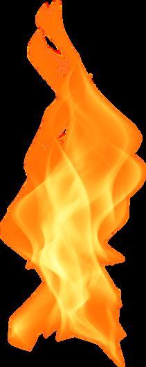 Image 17