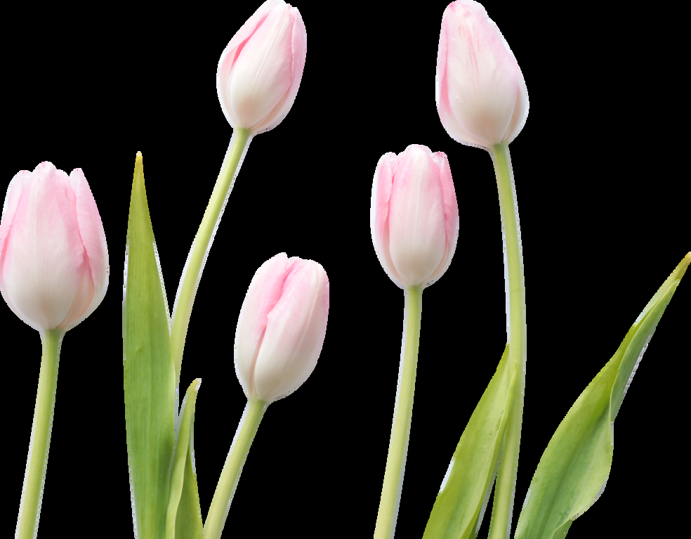 Image 15