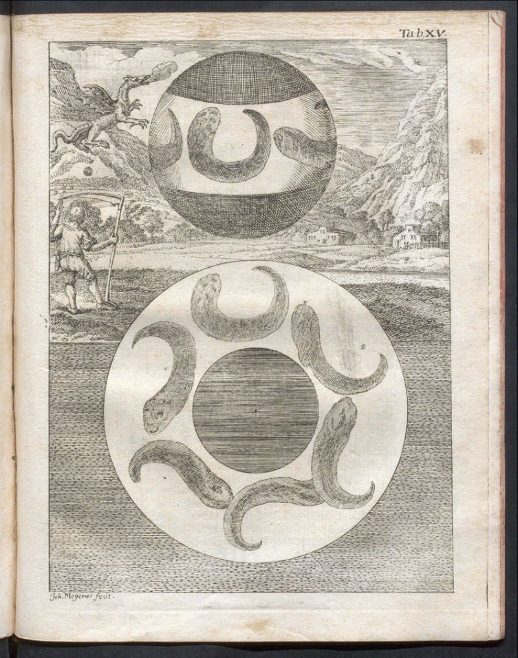 Image 23