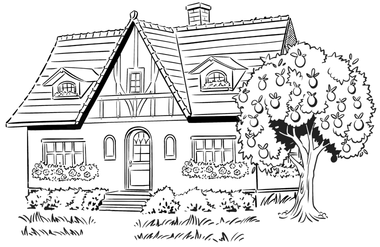 Image 19