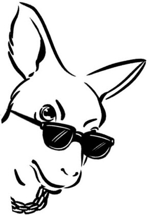 Image 31