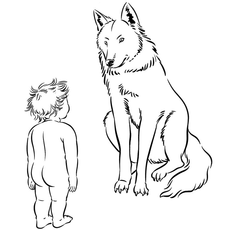 Image 38