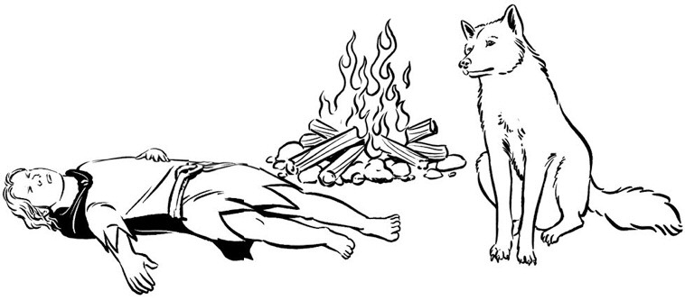 Image 17