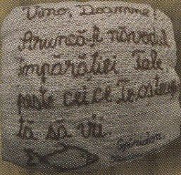 Image 24