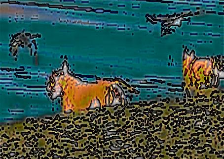 Image 51