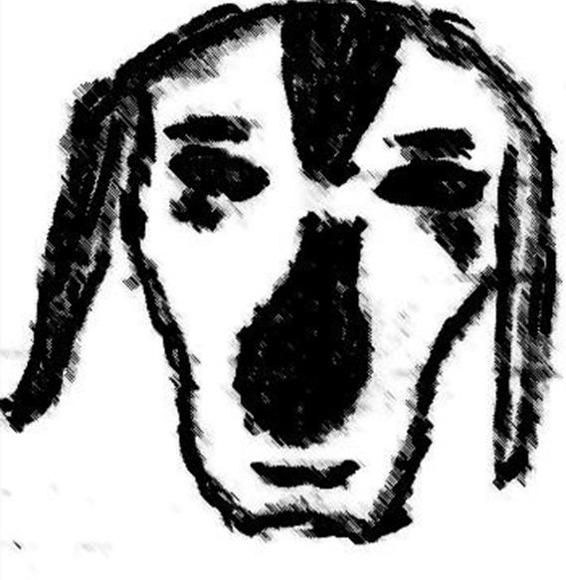 Image 60