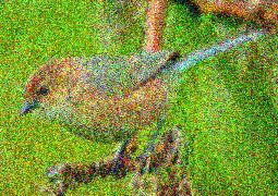 Image 78