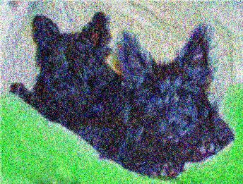 Image 44