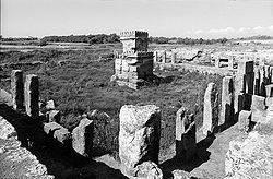 Image 50