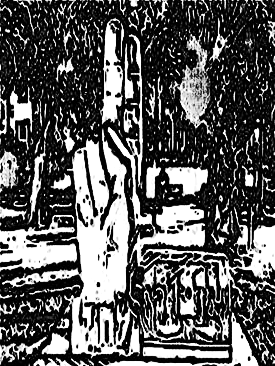Image 75