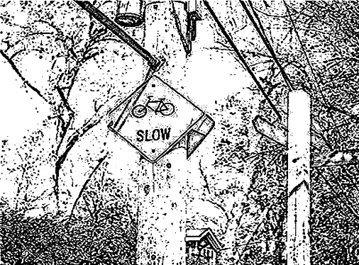 Image 76