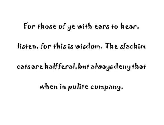 Image 126