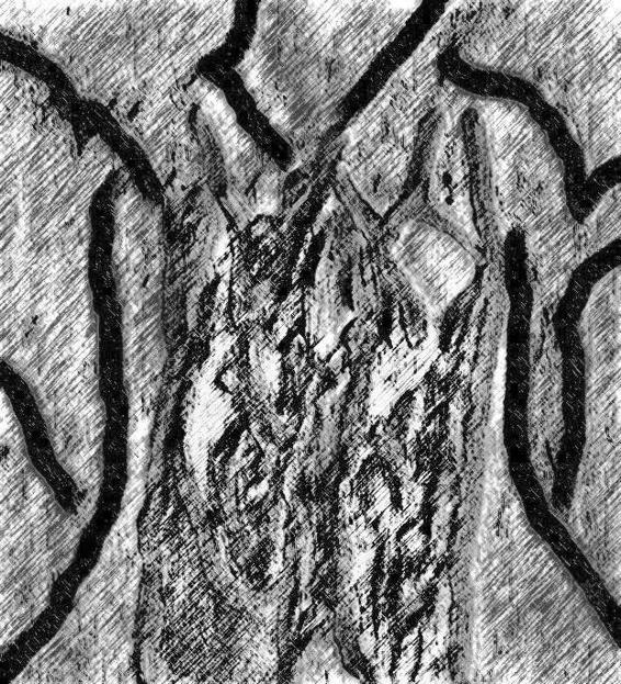 Image 176