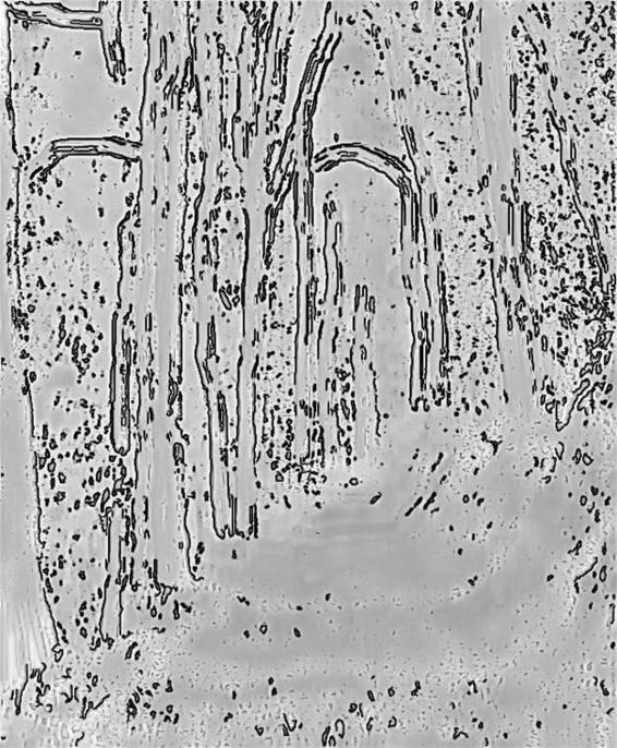 Image 180