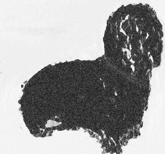 Image 183