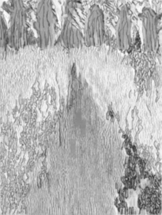 Image 186