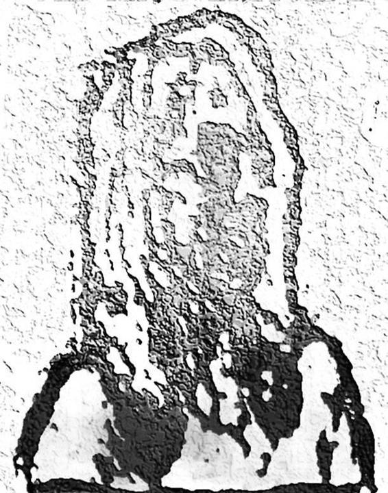 Image 192