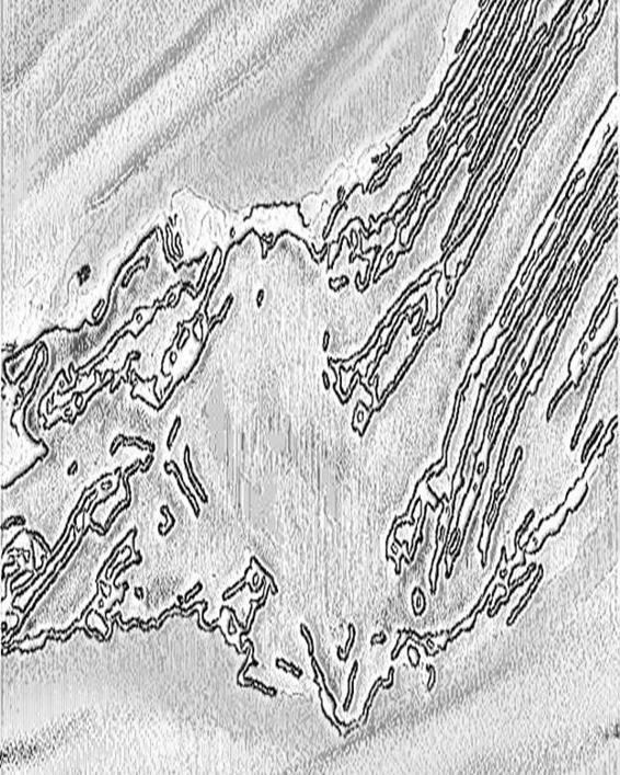Image 193