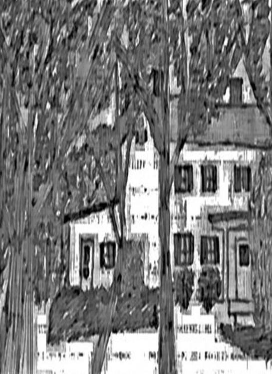 Image 194
