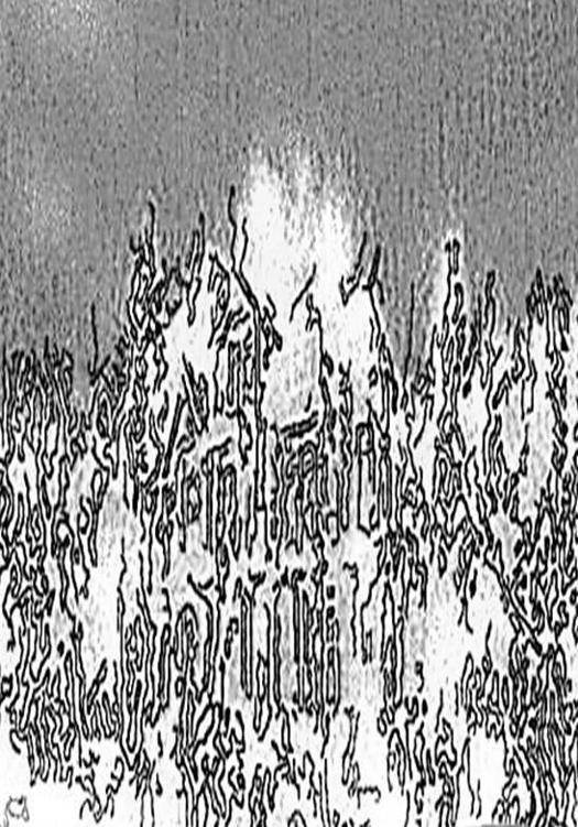 Image 198